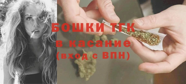 прущие грибы Абинск
