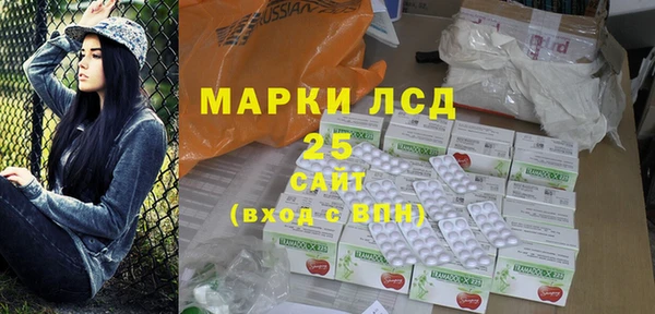 прущие грибы Абинск