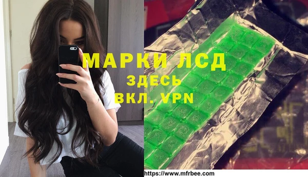 прущие грибы Абинск