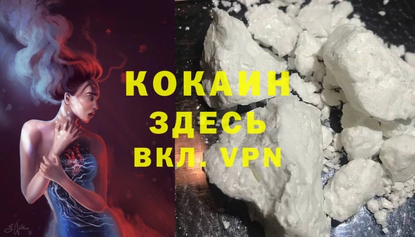 прущие грибы Абинск