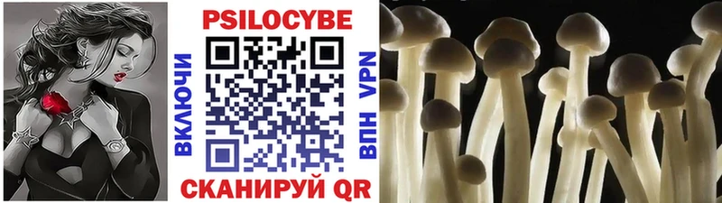 Галлюциногенные грибы прущие грибы KRAKEN ССЫЛКА Зубцов